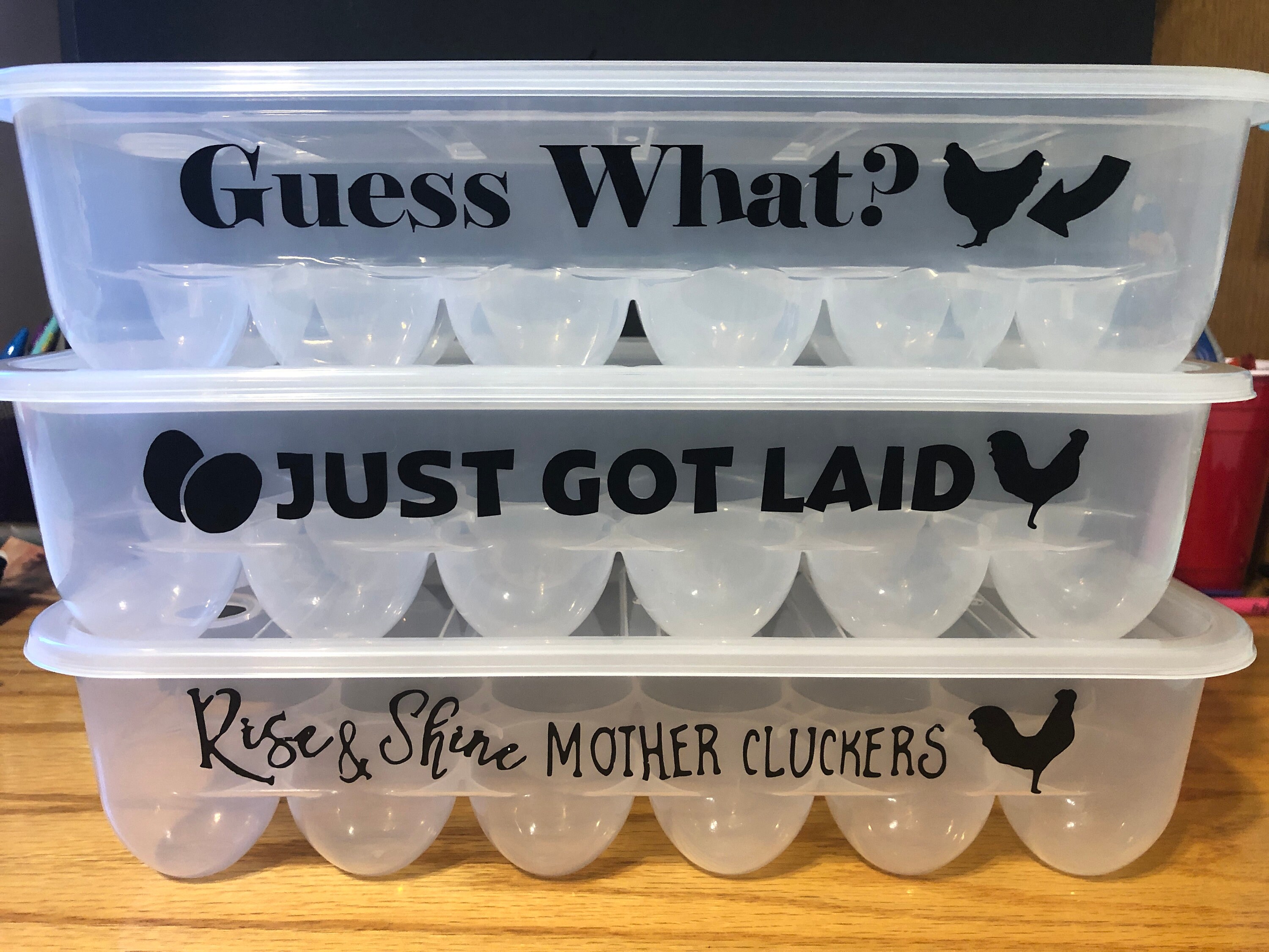 Egg Containers with Funny Sayings Reusable Egg Carton Etsy