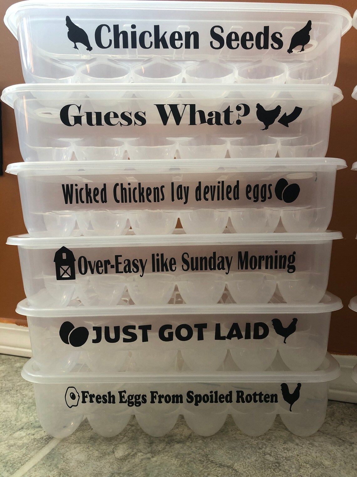 Egg Containers with Funny Sayings Reusable Egg Carton Etsy