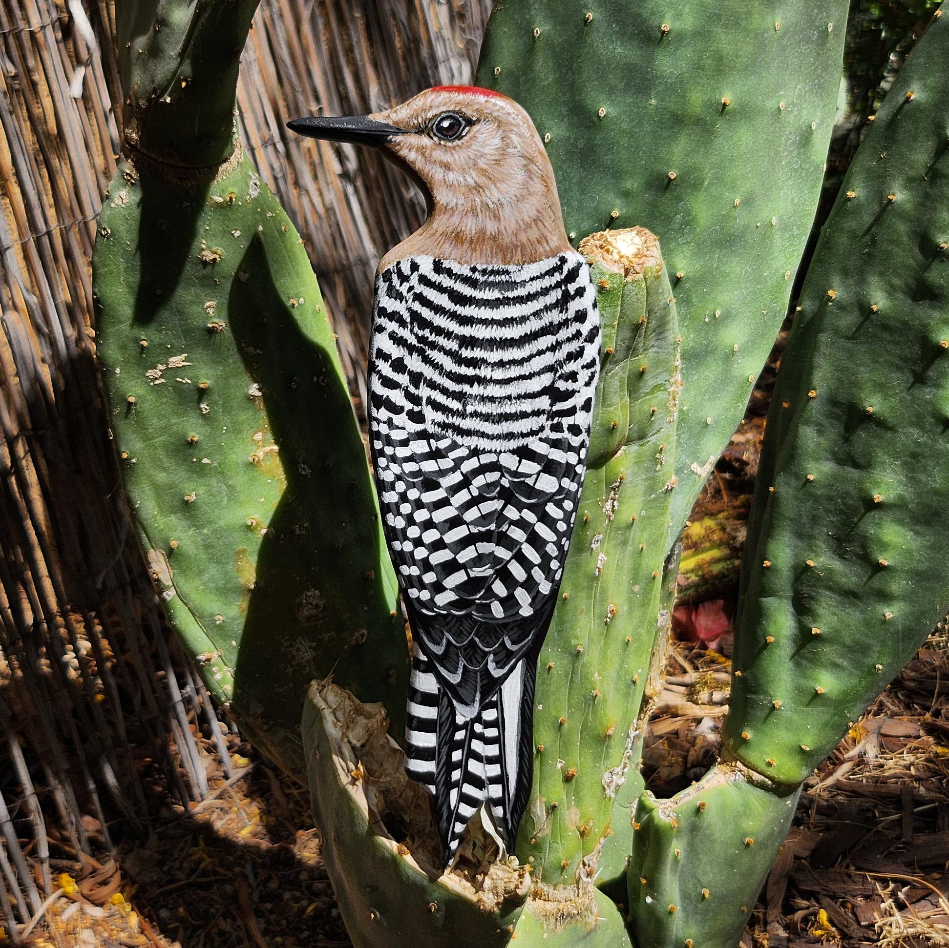 Gila Woodpecker - Wooden Wall Art, Handmade, Painted Bird on Wood