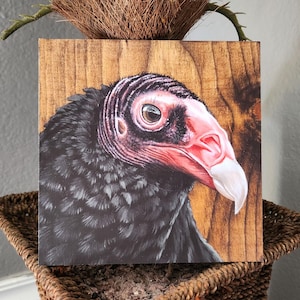 Truthahngeier - Limitierter Kunstdruck - 6 &quot;x 6&quot; - Von Kilgore