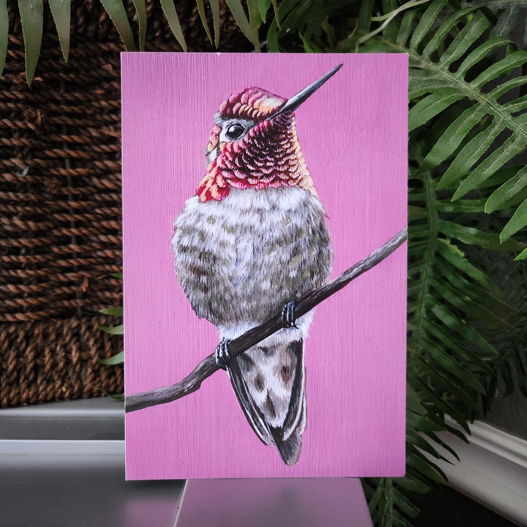 Anna's Hummingbird - Limited Edition Fine Art Print - 4" X 6" - by ...
