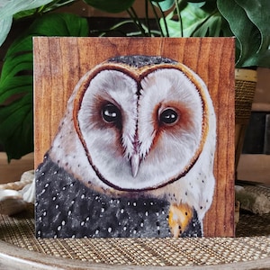 Barn Owl - Limited Edition Fine Art Print - 6&quot; x 6&quot; - By Kilgore