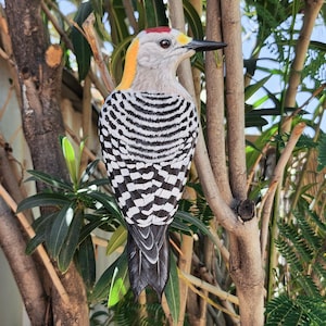 Goldfrontspecht - Hölzerne Wandkunst, handgemacht, bemalter Vogel auf Holz