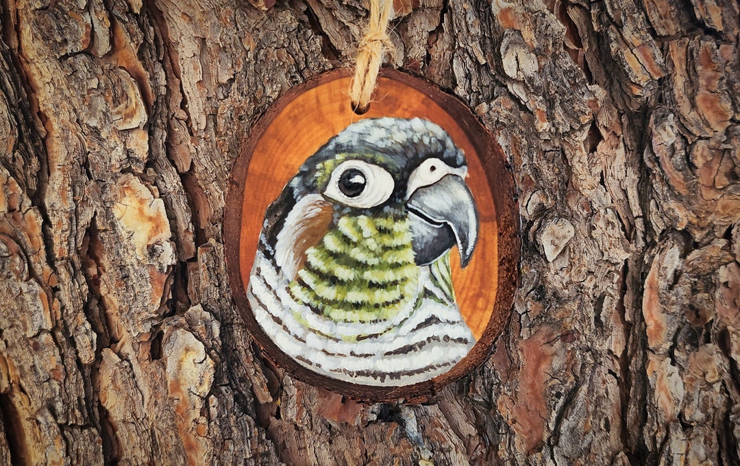 Green Cheeked Conure Pear Wood Slice Ornament Hand Painted Etsy