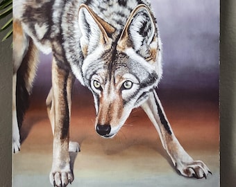 Coyote - Konsttryck i begränsad upplaga - Av Kilgore - Väggdekor från sydvästra USA