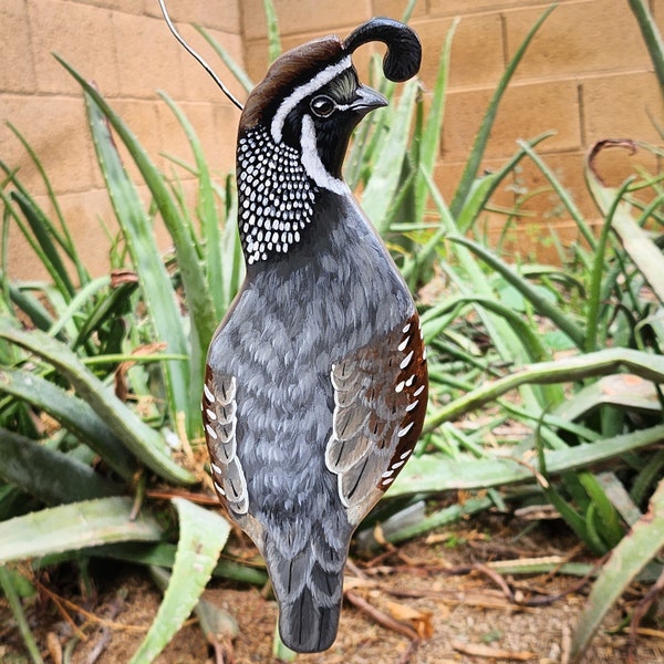 Bobwhite Quail Wall Art Etsy