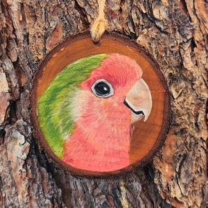 Rosy Faced Lovebird - Pear Wood Slice, Hand Painted Parrot on Wood Parakeet