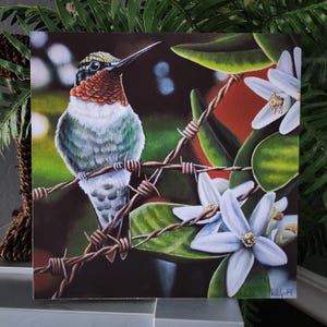 Ruby Throated Hummingbird - Fine Art Print - By Kilgore, Hummingbird and Flowers