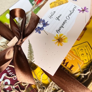 May include: A brown gift basket filled with various items, including a card with the text "Hello You Awesome Creature!" and a bag of cheese snacks. The basket is tied with a brown ribbon.