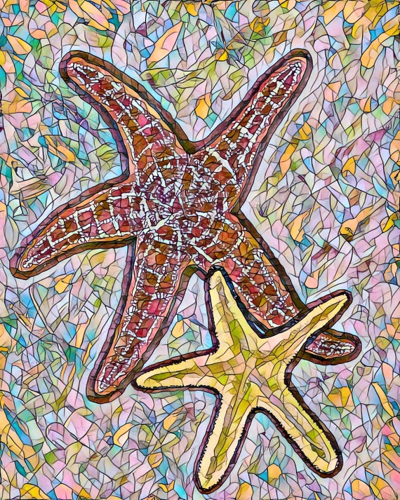 Sea Stars Paper Pattern Sea Stars Paper Pattern