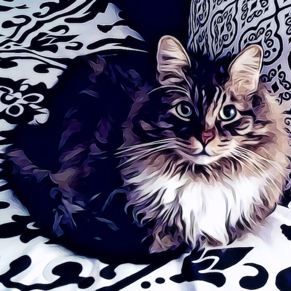 Whiskey Tabby Cat  Maine Coon Cat art print   8"x10" and 11"x14" prints  premium quality luster finish photo paper