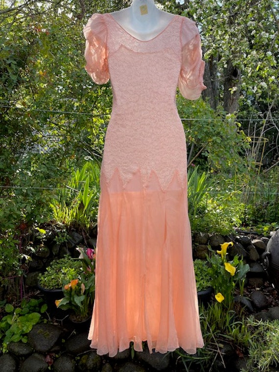 Stunning 1930's sheer peach gown - image 3