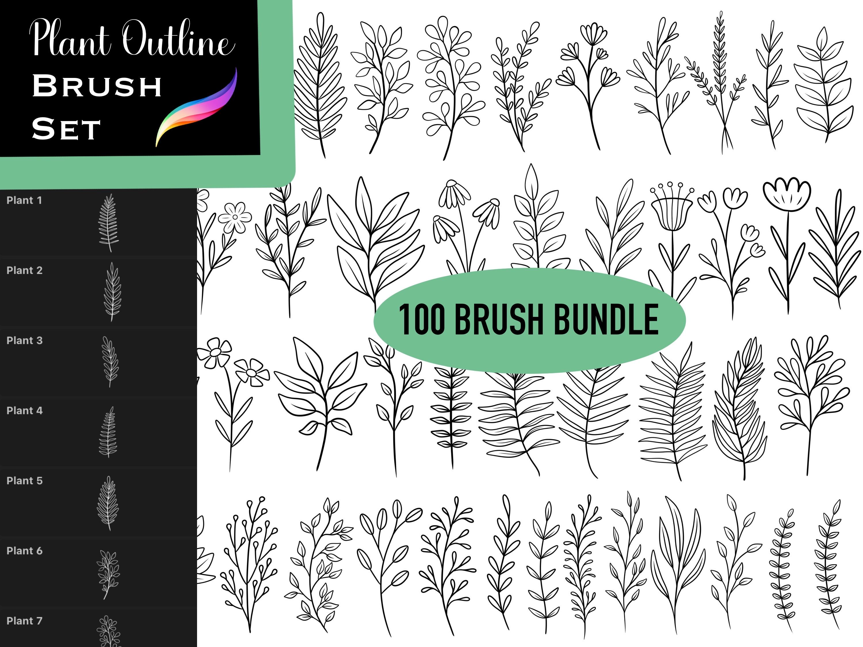 Procreate Plant Outline Stamp Doodle Line Art Brush Set 100 Brush ...