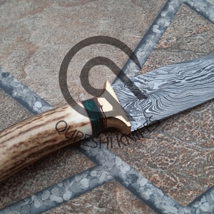 Custom Handmade Damascus Hunting Skinner Knive 9&quot; Stag Horn Handle with Leather Sheath