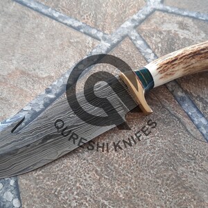 Custom Handmade Damascus Steel Skinner Knife 9&quot; With Leather Sheath Stag Horn Handle, Hunting knife ,survival knife.