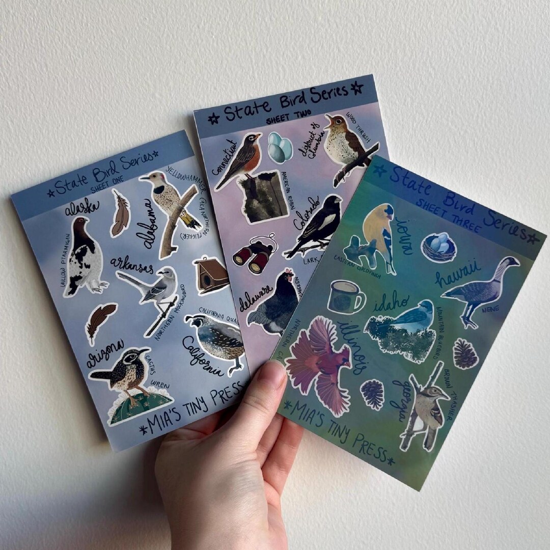 Tiny Bird Stickers | State Bird Sticker Sheets 1-3, Birdwatching ...