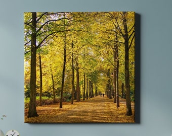 Münster - Promenade in autumn | Münster squared | Canvas Canvas | Münster photo | Indian Summer | ms-art