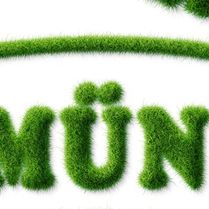 Poster Green Minster City poster Münster Westfalen Nature Lawn Grass Writing green Münsterliebe Gift Business, Family, Office image 3