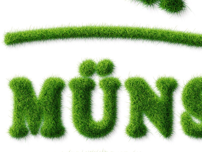 Poster Green Minster City poster Münster Westfalen Nature Lawn Grass Writing green Münsterliebe Gift Business, Family, Office image 3