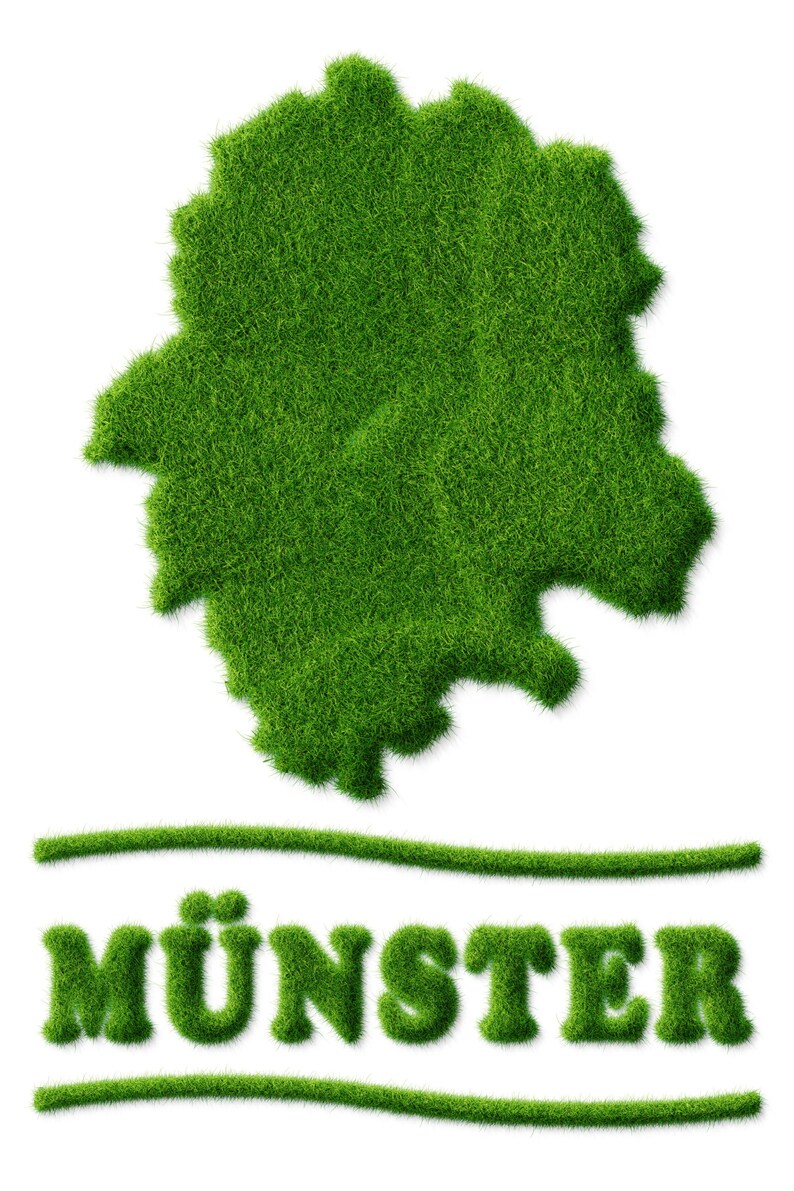 Poster Green Minster City poster Münster Westfalen Nature Lawn Grass Writing green Münsterliebe Gift Business, Family, Office image 2