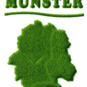 Poster Green Minster City poster Münster Westfalen Nature Lawn Grass Writing green Münsterliebe Gift Business, Family, Office image 5