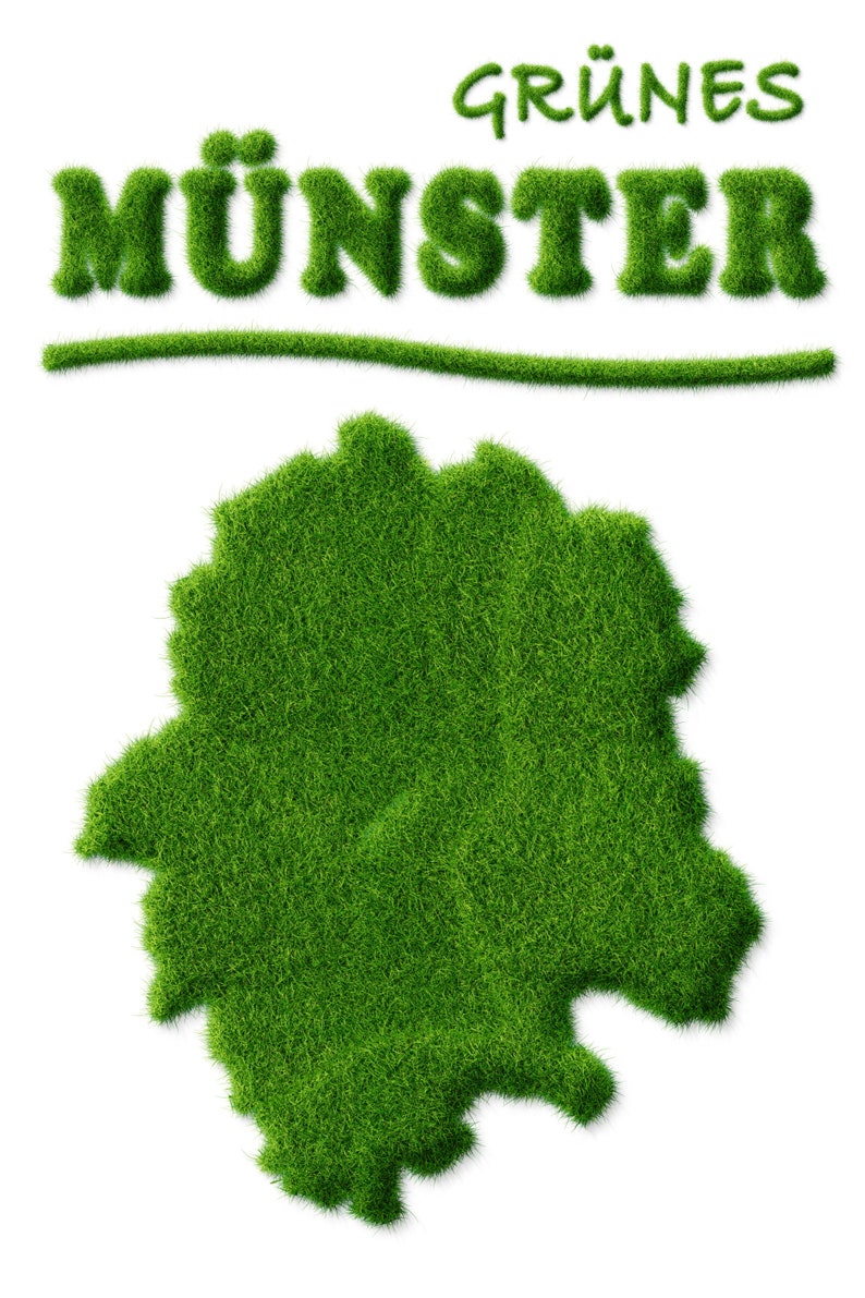 Poster Green Minster City poster Münster Westfalen Nature Lawn Grass Writing green Münsterliebe Gift Business, Family, Office image 5