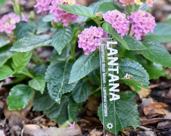 Acrylic Garden Markers Engraved Name Tags for Garden Landscaping & Outdoor Use