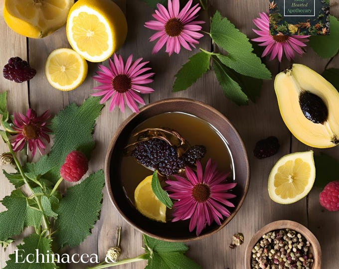 Echinacea & Elderberry Herbal Tea
