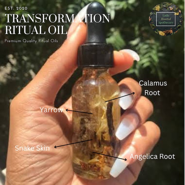 Transformation - Etsy