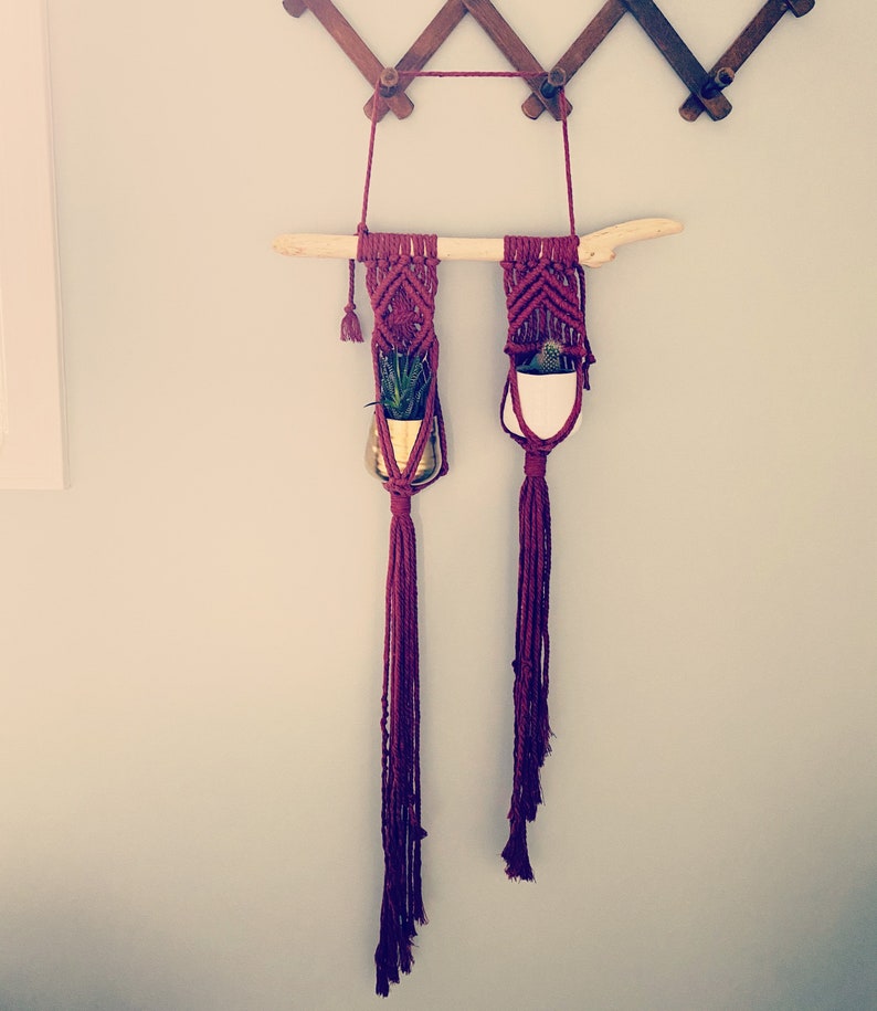 Scorpio plant hanger