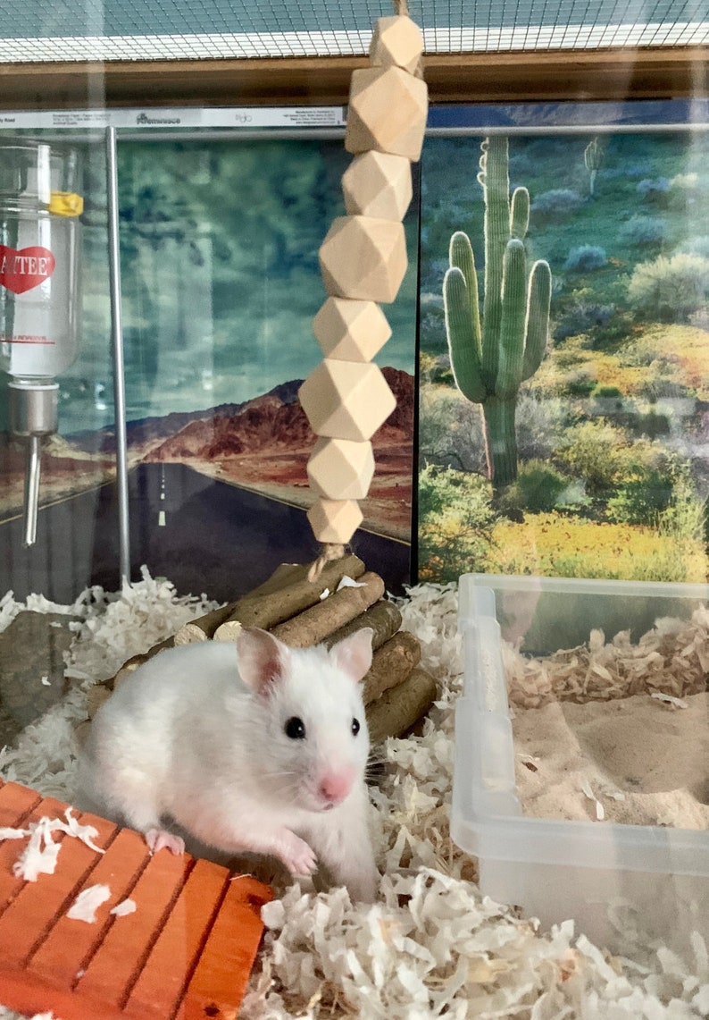 Hamster Hanging Chew Toy Small Animal Hanging Toy