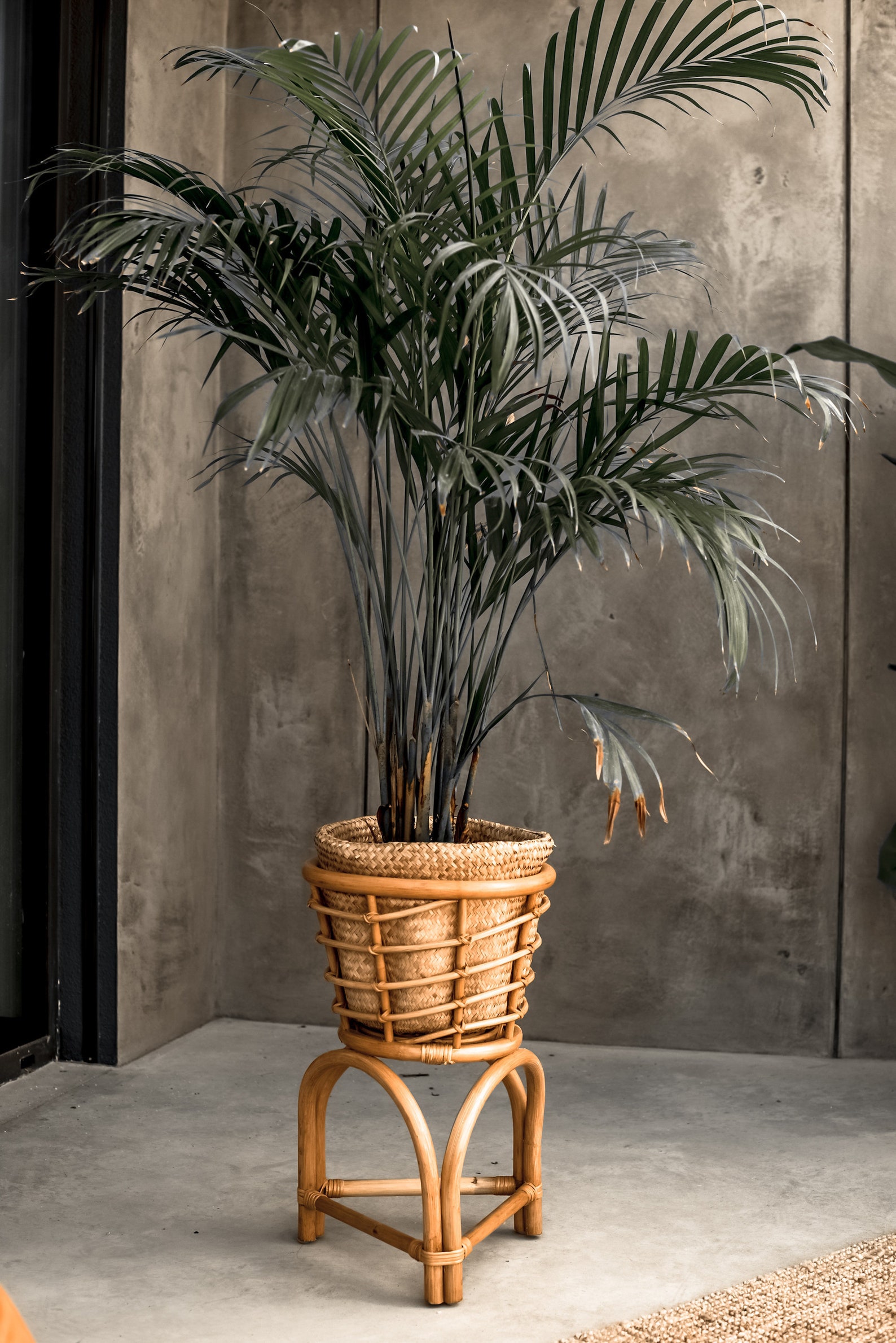 RATTAN PLANT STAND Flower Pot Natural Stand Rattan Stand Etsy