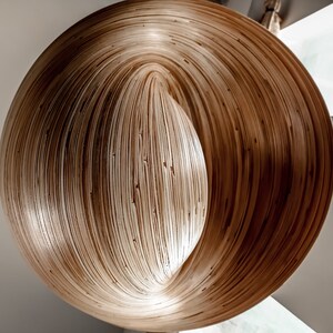 Op de afbeelding: Een grote, abstracte sculptuur gemaakt van gelaagde, lichtbruine houten stroken. Het ontwerp toont een centrale, langwerpige ovale vorm omgeven door een cirkelvormige, spiraalvormige vorm. De houtnerf voegt textuur en diepte toe aan het kunstwerk.