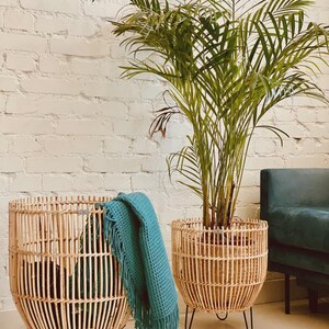 Puede incluir: Dos cestas redondas de ratán tejido de color claro con patas de horquilla de metal negro. Una cesta está vacía con una manta de punto gofrado de color verde azulado sobre el borde, mientras que la otra contiene una palmera verde.