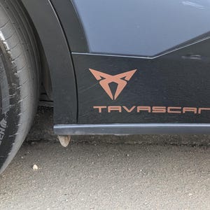 Cupra Tavascan Side Skirt Decals x2 Large