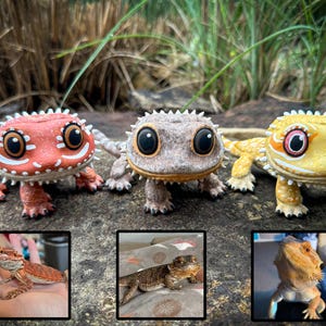 benutzerdefinierte Bartagame Figur, Bartdrache Kunst, Beardie, Beardie-Liebhaber, Eidechse Kunst, Bartdrache Malerei, Haustier Gedenkstätte, Eidechsen