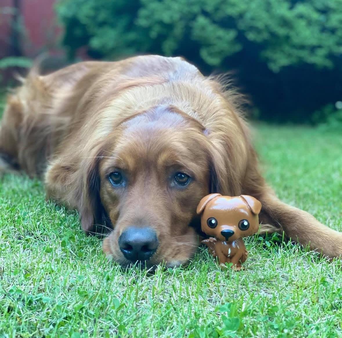 Custom Golden Retriever Figurine, Golden Retriever Art, Dog Painting, Pet  Memorial, Dog Art, Cartoon Pet Art, Gifts for Dog Lovers, Goldens - Etsy, image size:1179x1166