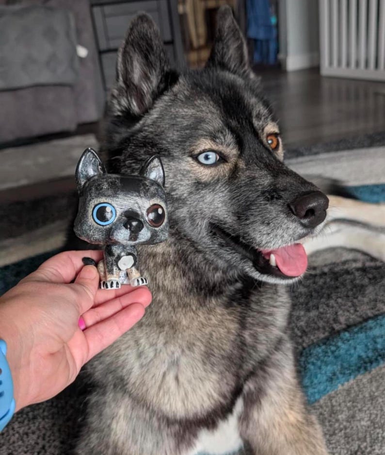 May include: A gray and black husky dog with blue and brown eyes is looking to the right. The dog is holding a small gray and black figurine of a dog with blue eyes.