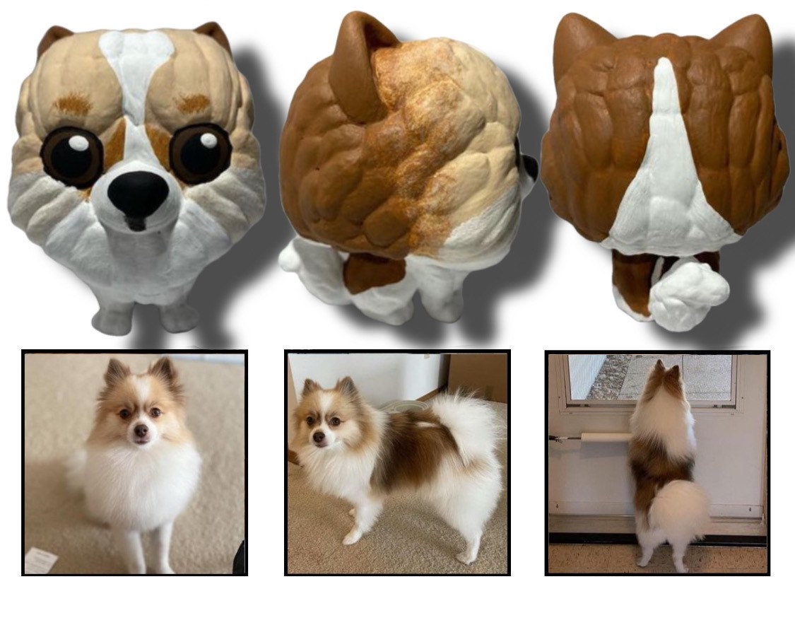 Pomeranian Pop Pet Custom Funko Pop 