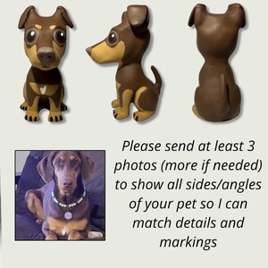 May include: Three photos of a brown and black dog. The first photo shows the dog from the front, the second photo shows the dog from the side, and the third photo shows the dog from the back. The dog is sitting down in all three photos.