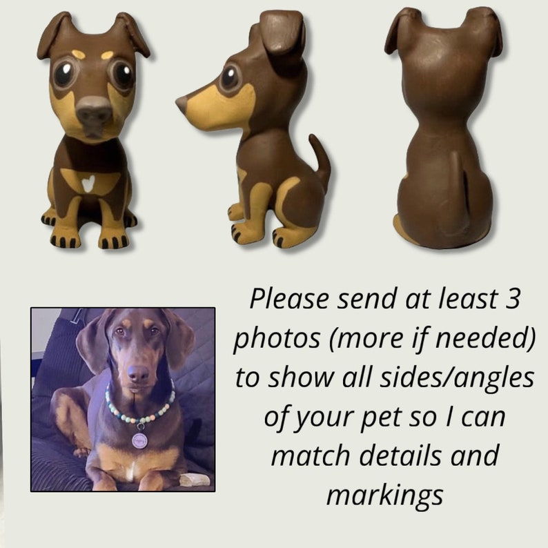 May include: Three photos of a brown and black dog. The first photo shows the dog from the front, the second photo shows the dog from the side, and the third photo shows the dog from the back. The dog is sitting down in all three photos.