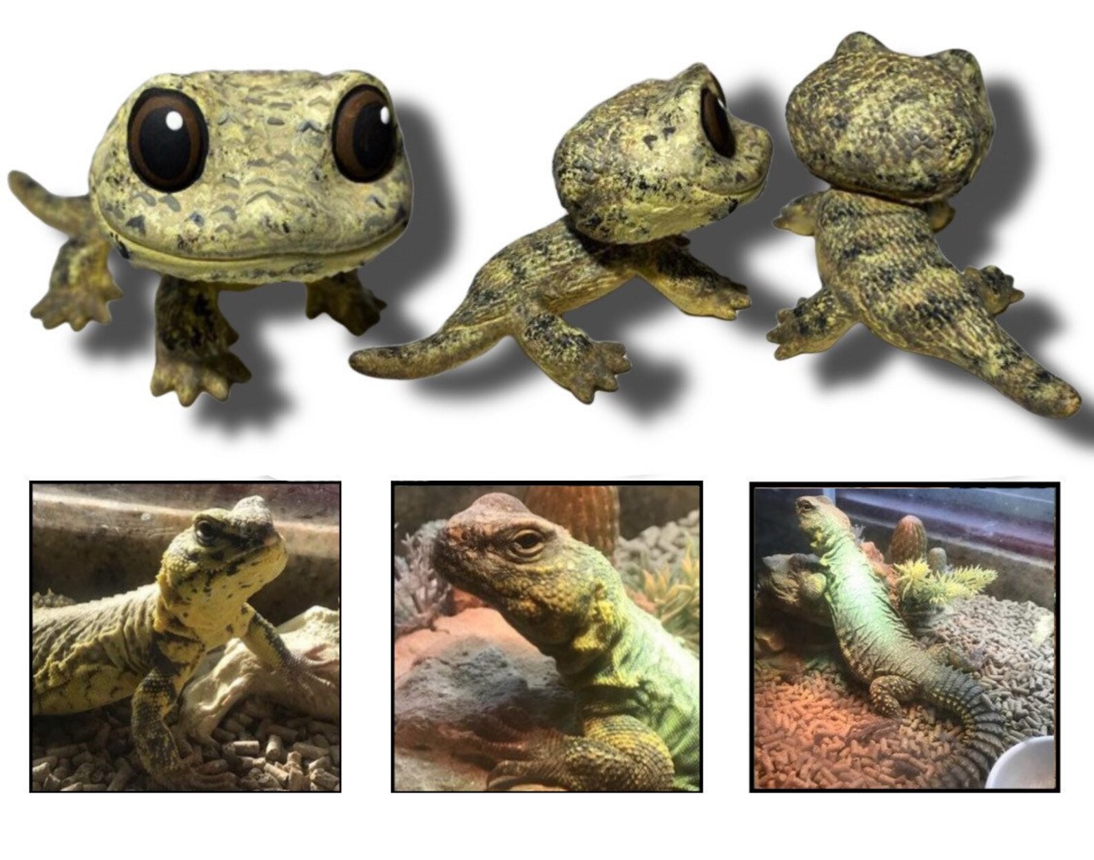 Lizard Pop Pet Custom Funko Pop Bearded Dragon Salamander Etsy