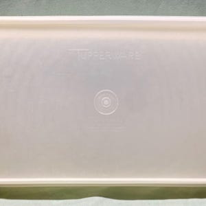 Tupperware Deli Meat Keeper