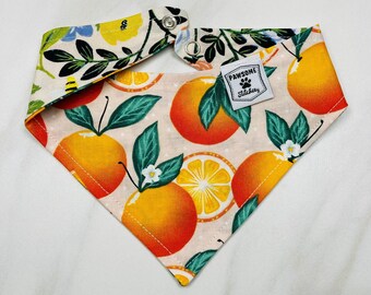 Florida orange, Custom Dog Bandana, Bandana chien réversible, bandana chien mignon, bandana chien personnalisé, cadeau de chien,