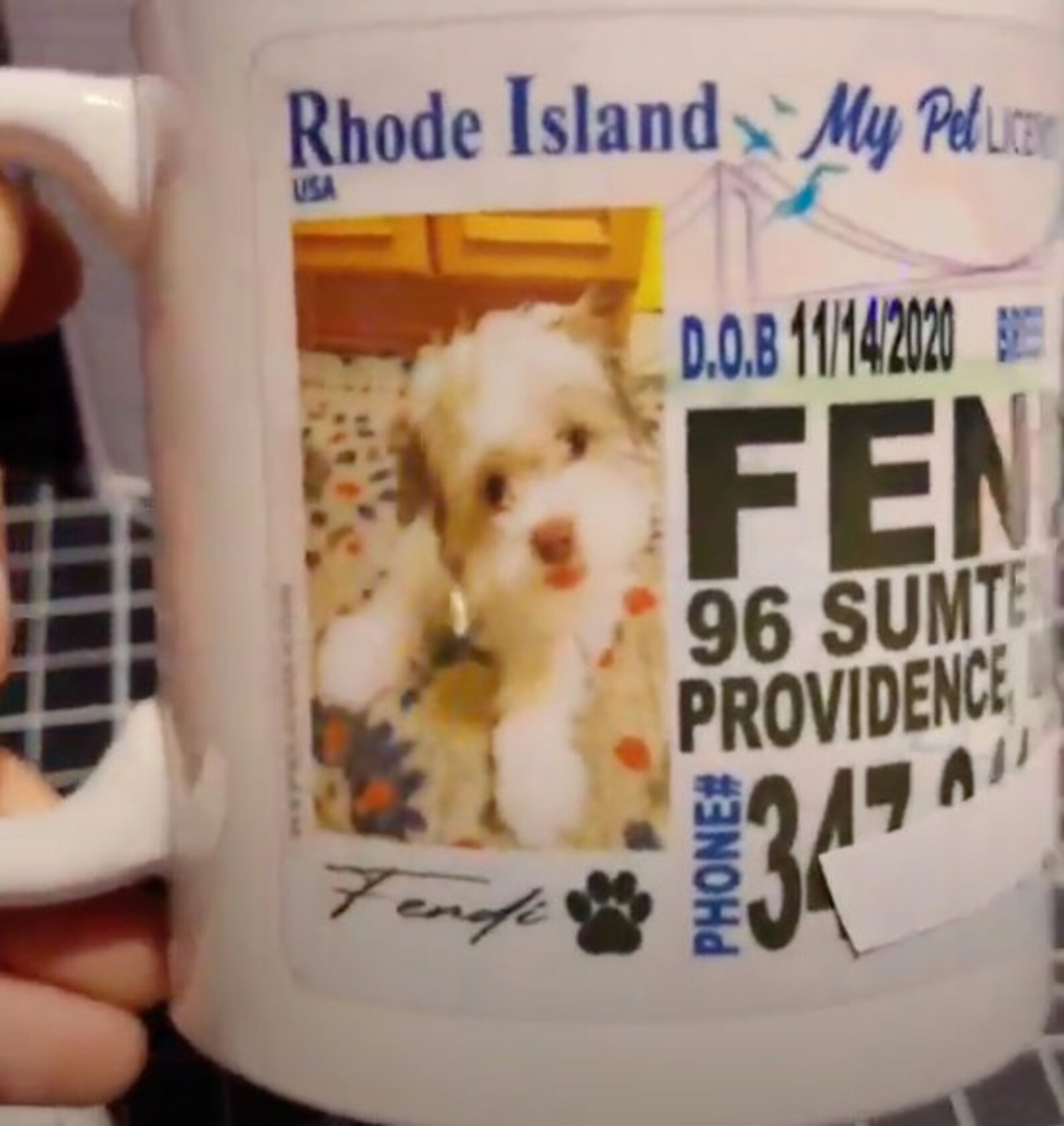 MyPet License Dog Tag Mug or Stickers Etsy