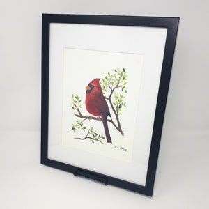 Red Cardinal Watercolor Print