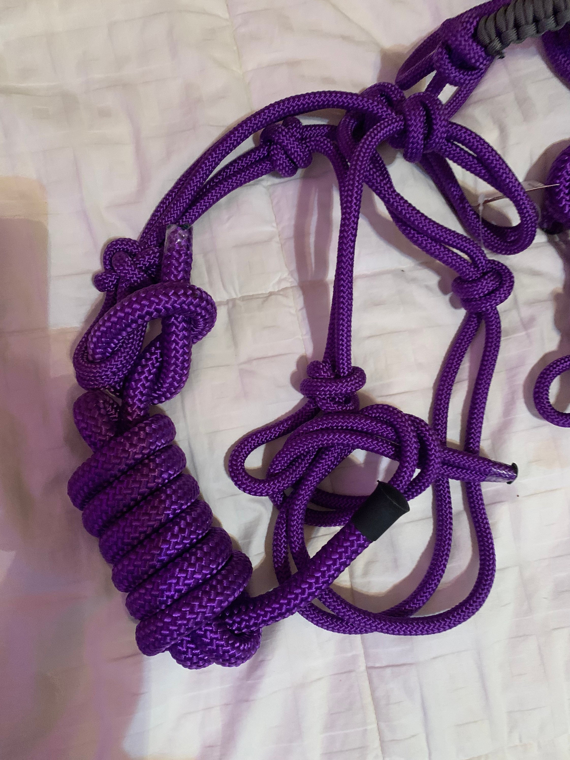 Halters w/lead ropes 2 to choose from Etsy