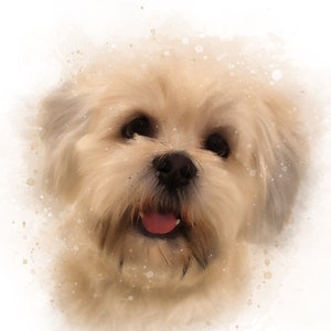 Valentine&#39;s Day Gifts, Pet Portrait from photo, Pet Portrait, Dog Portrait, Painting from photo, Custom pet portrait
