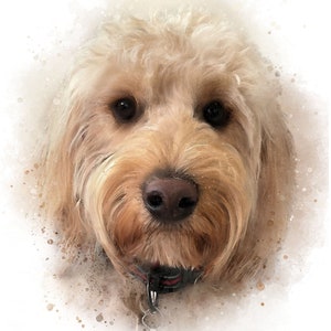 Pet Portrait from photo, Pet Portrait, Pet Memorial, Portrait, Painting from photo, Custom pet portrait, Pet portrait, Commission portrait