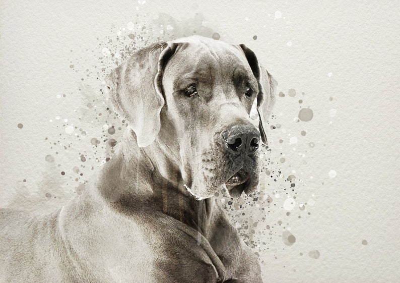 Pet Portraits Custom Watercolour Effect Pet Portraits Dog Etsy